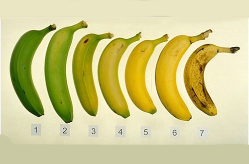 Γιατί τα φρούτα αλλάζουν χρώμα όταν ωριμάζουν;